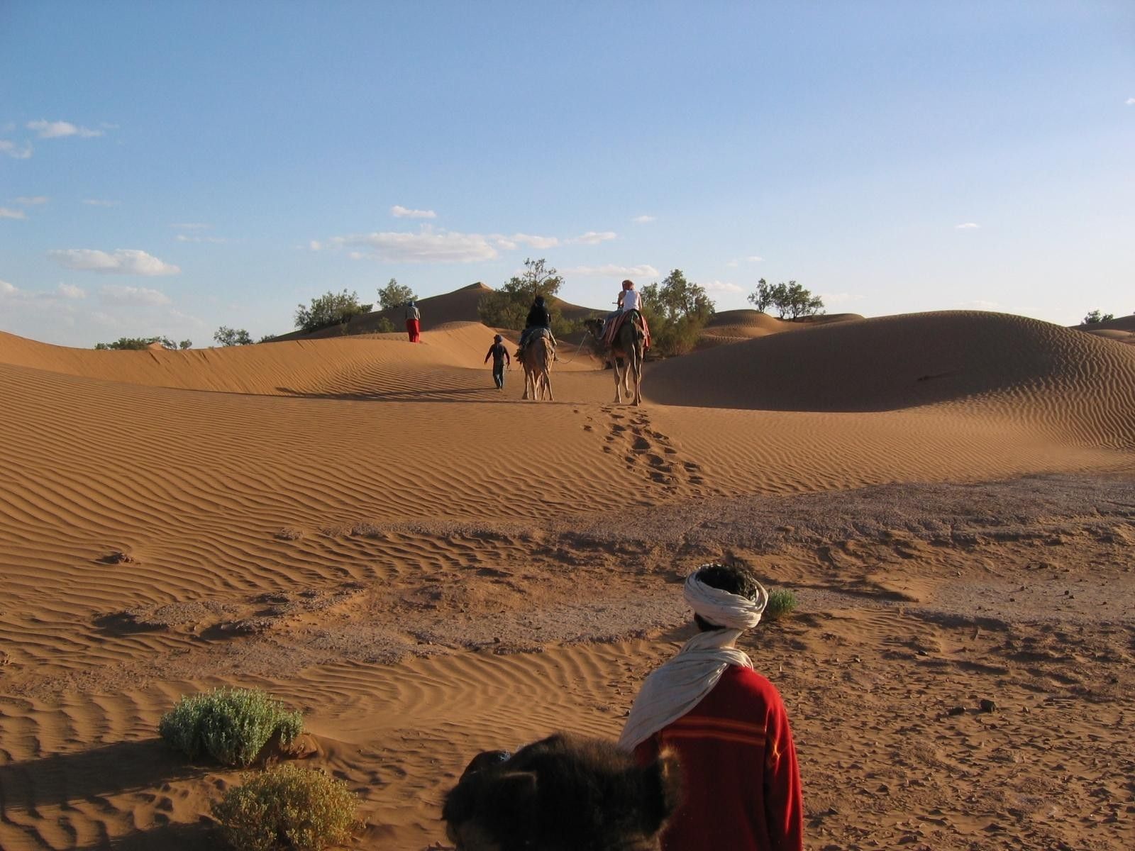 Voyage famille au coeur du desert marcoain