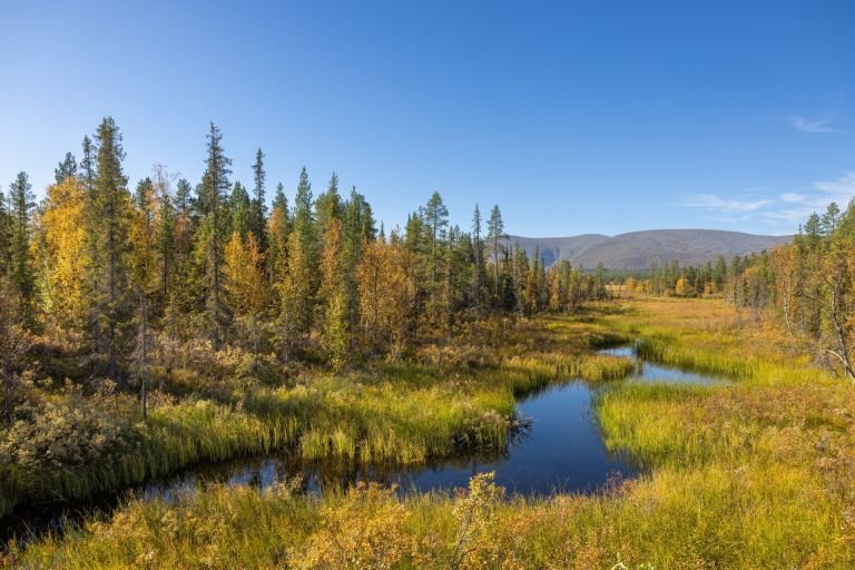 Finlande - Laponie - Eté indien en Laponie : couleurs d'automne et aurores boréales