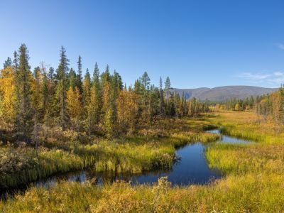 Finlande - Eté indien en Laponie : couleurs d'automne et aurores boréales
