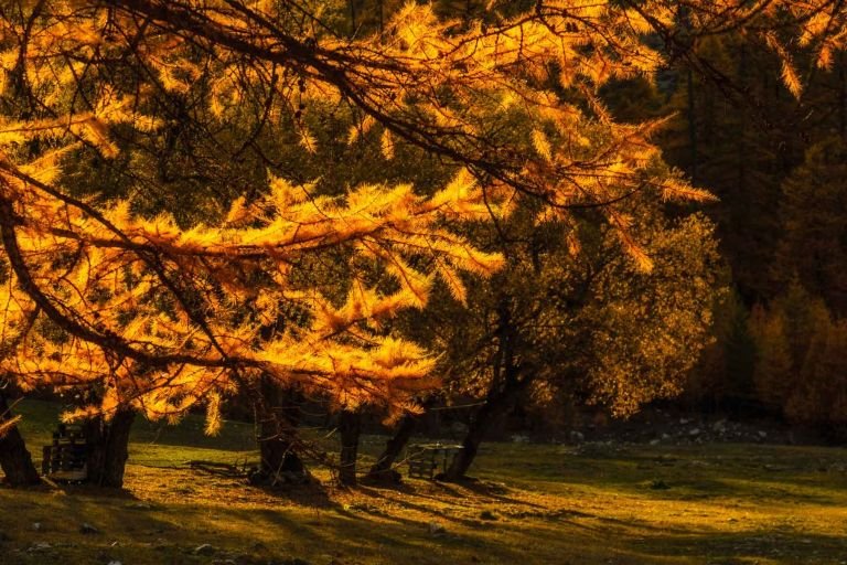 France - Voyage Photo dans le Mercantour : lumières et couleurs d'automne