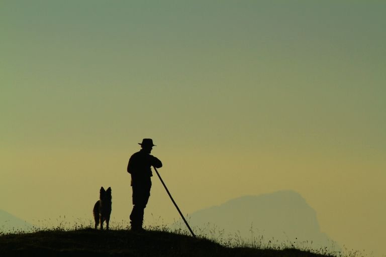 France - Comprendre la vie d'un berger et de l'alpage