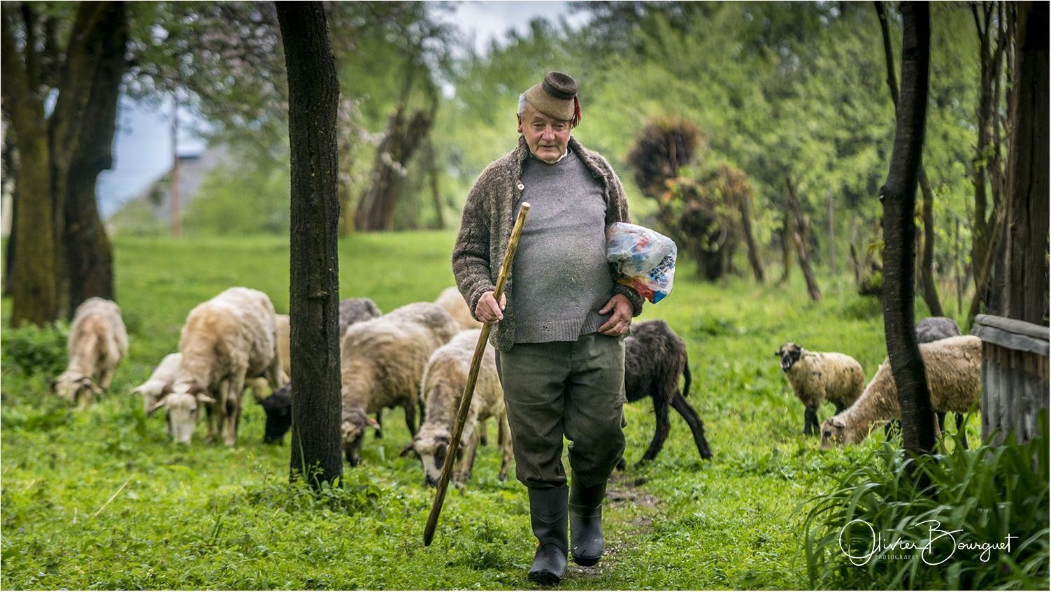 Au coeur de la Transylvanie