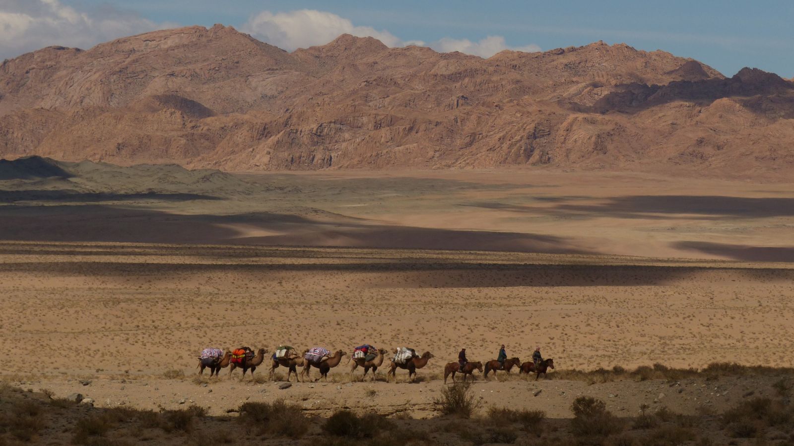 La caravane  de chameaux de Bactriane suit les randonneurs à proximité