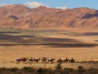 Mongolie - Sur la Route du sel