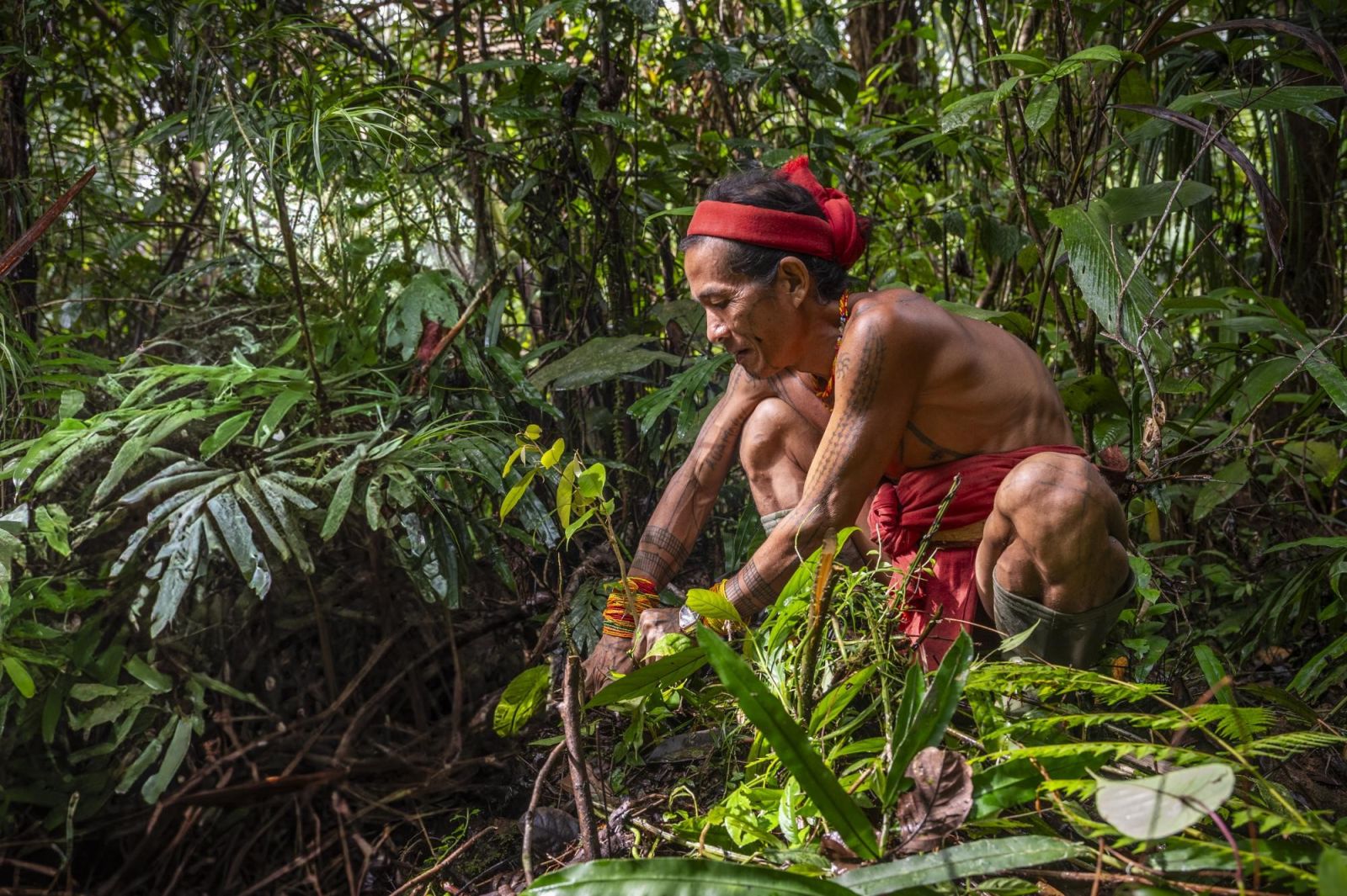 Trek et immersion chez les Hommes-fleurs de Mentawai Hommes Mentawai dans la jungle
