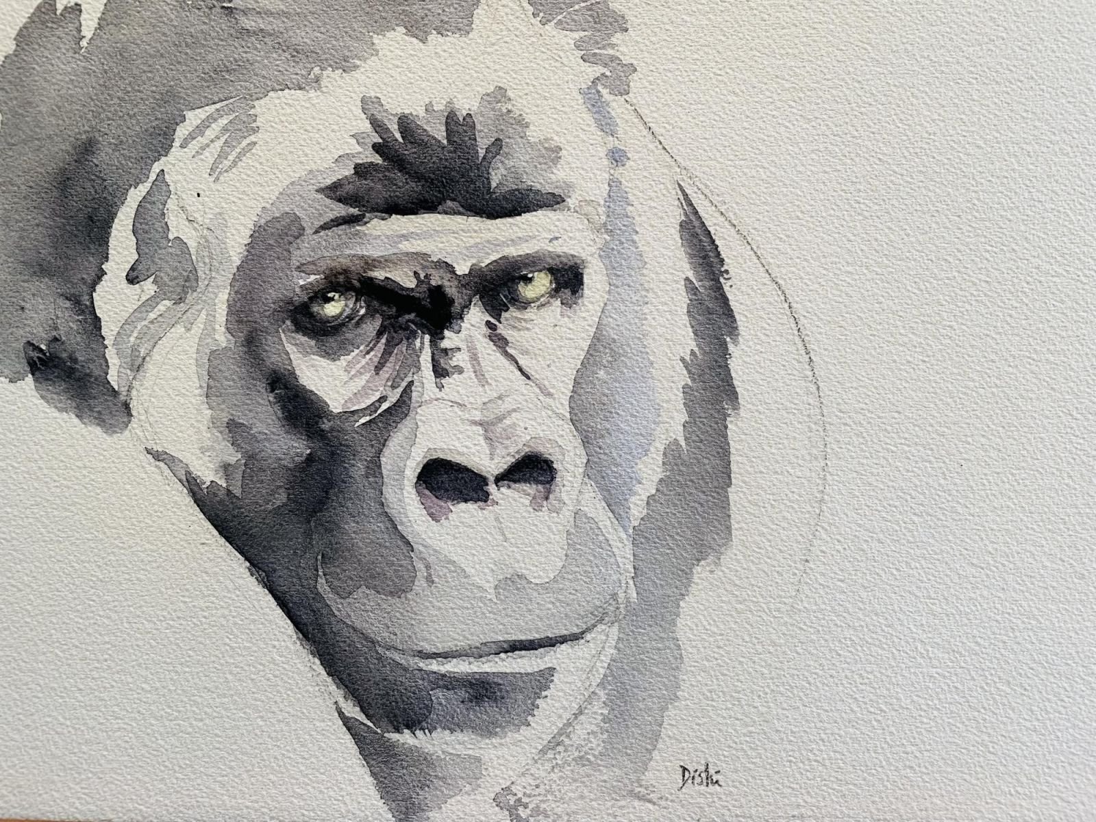 © Adeline Terpo - Gorilles : mon carnet de voyage Carnet de voyage gorille