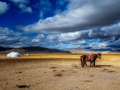 Mongolie - Transhumance avec les nomades Zarchin, le peuple frontière 