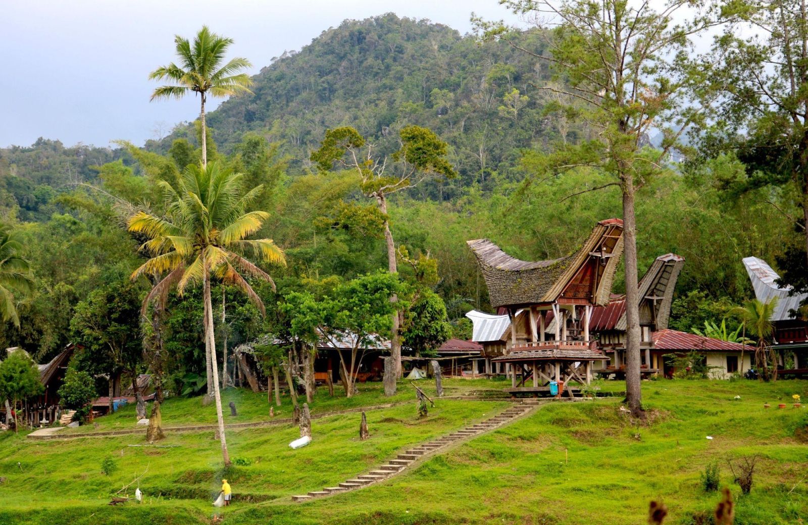 Sulawesi, du pays Toraja aux îles paradisiaques
