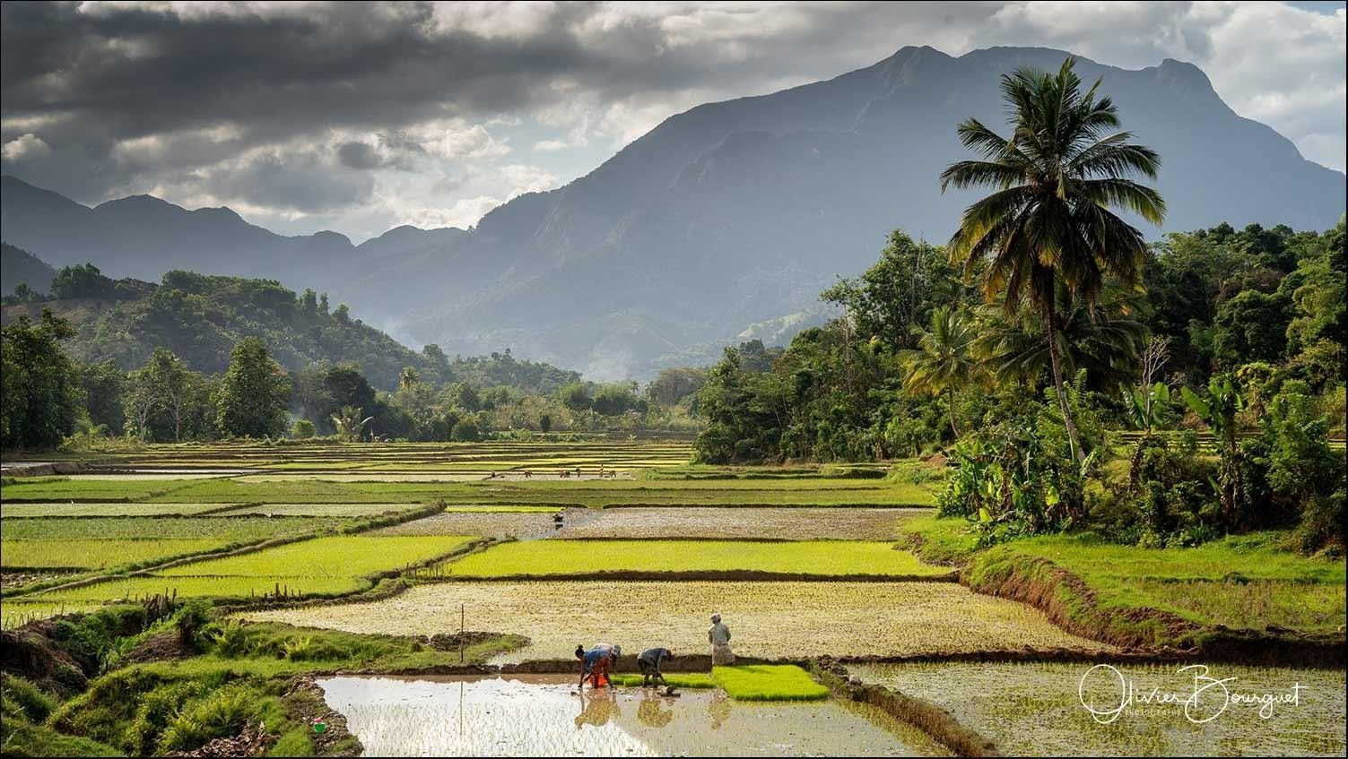 Entrée Parc National de Marojejy