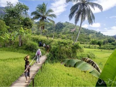 Madagascar - Vanille et chocolat : reflets du nord