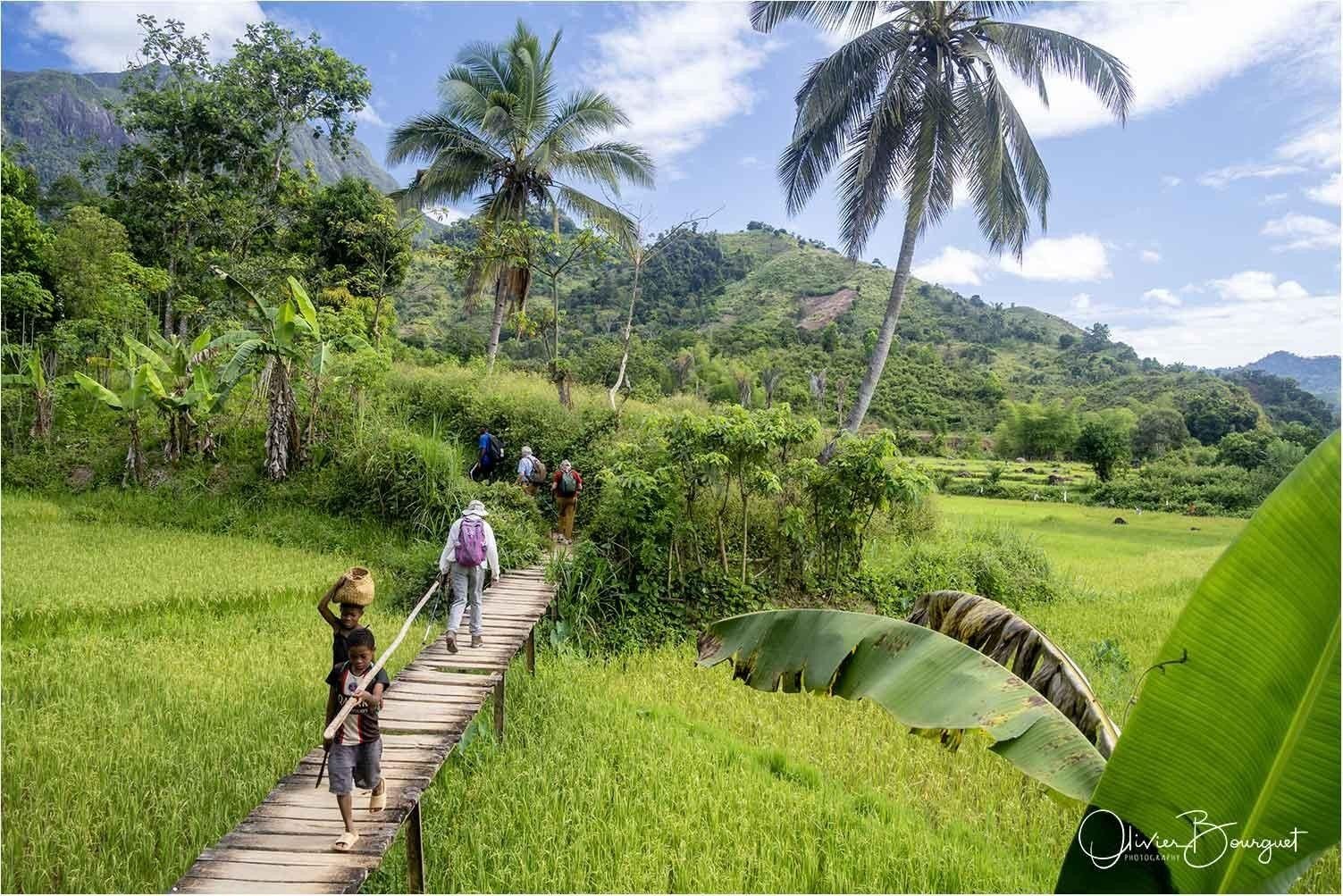 Entrée Parc National de Marojejy