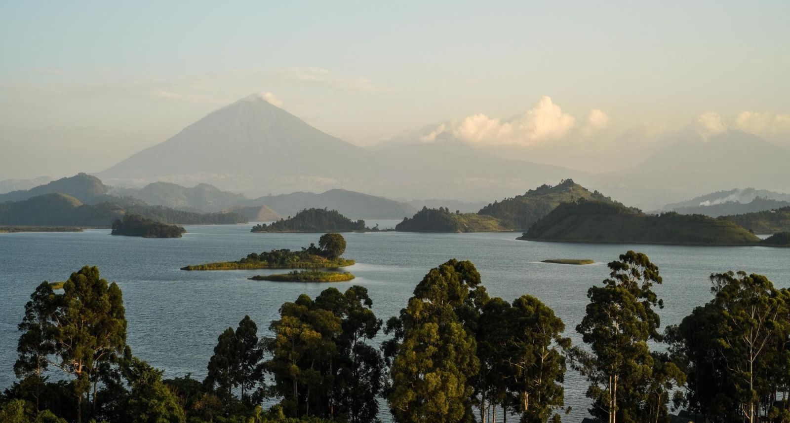 Randonnées et rencontres au royaume du gorille
