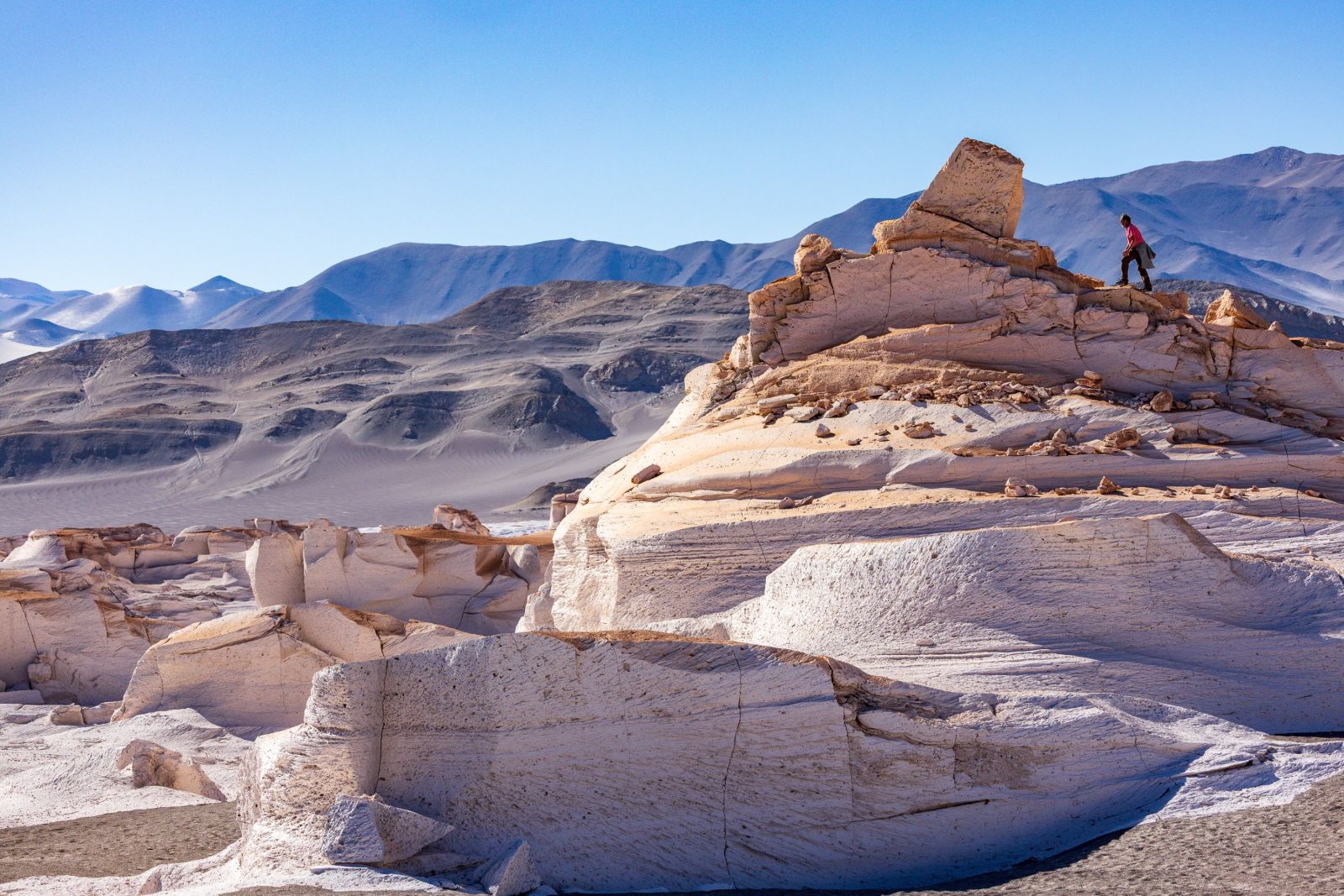 Campo de Piedra Pomez , Puna de Atacama, Argentine