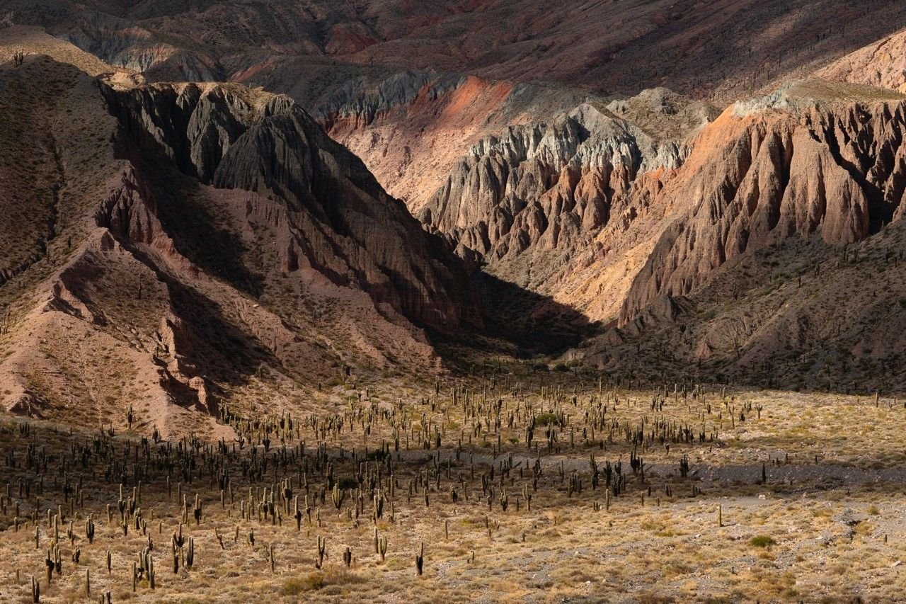 Voyage photo dans le nord-ouest argentin  avec Jean-Michel Lenoir en version confort 
