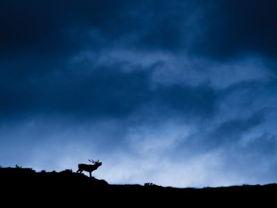 Écosse - L'Ecosse du Nord à travers l'objectif 