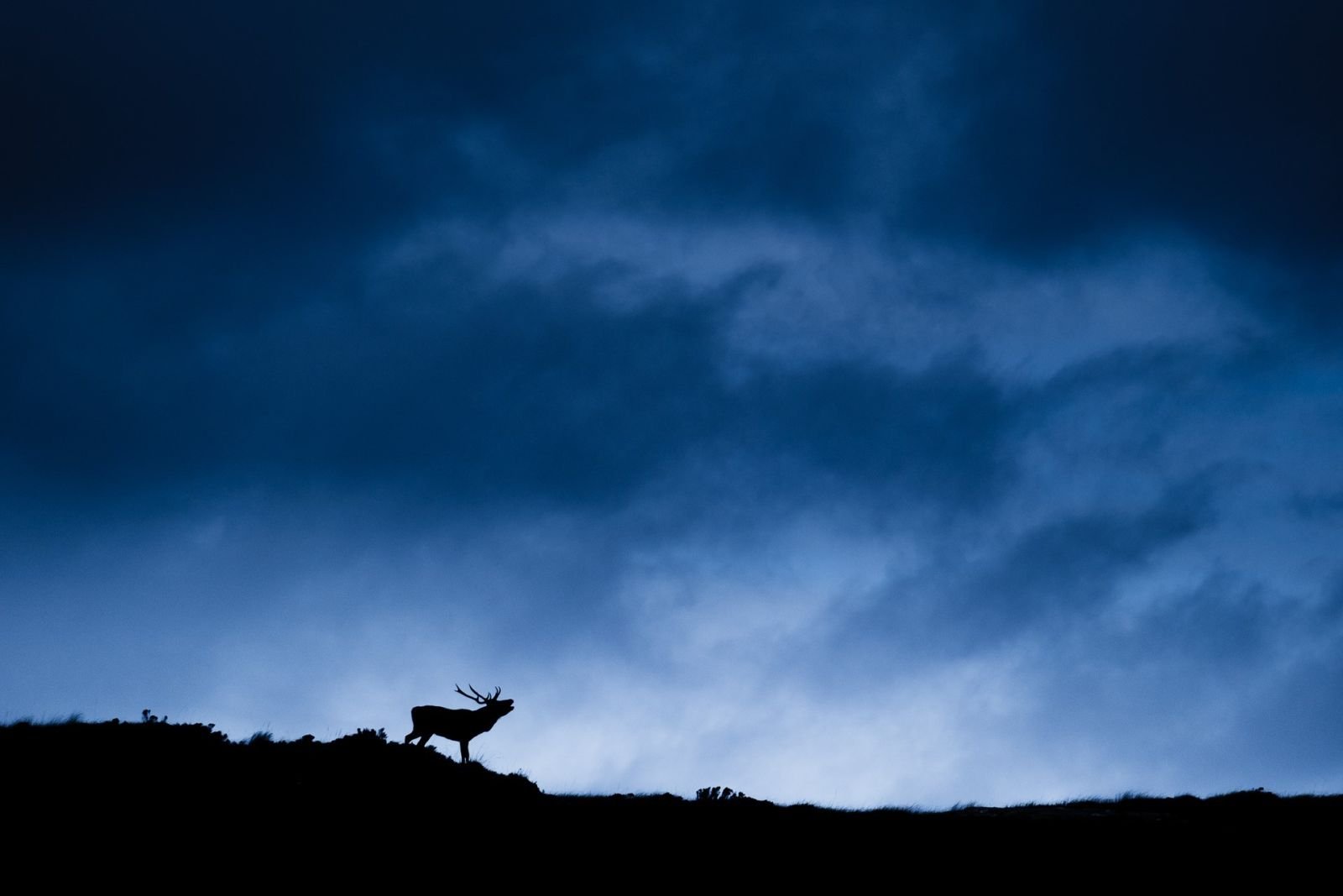 L'Ecosse du Nord à travers l'objectif 