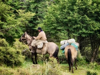 © Matthieu REYNIER - Patagonie - Des estancias de Patagonie aux Gauchos de Terre de Feu Patagonie - Des estancias de Patagonie aux Gauchos de Terre de Feu