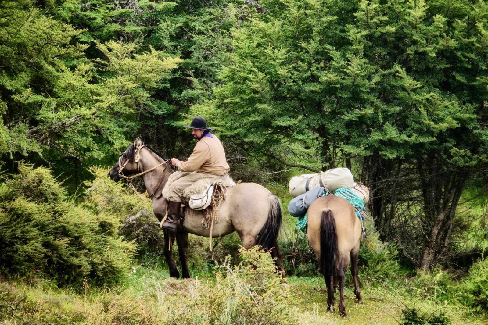 Gaucho de Terre de Feu