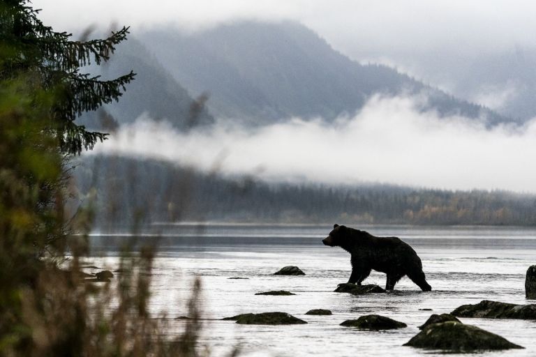 Canada - Alaska - Yukon & Alaska, immersion photographique au cœur du sauvage