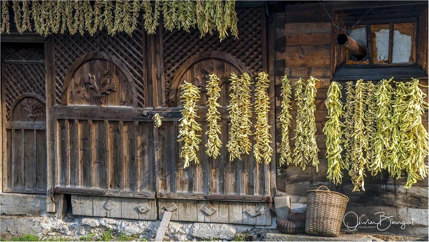 Transylvanie Roumanie