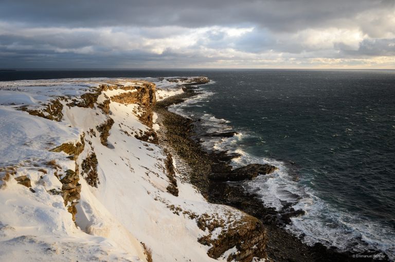 Norvège - Objectif Varanger : Oiseaux et Lumières Arctiques
