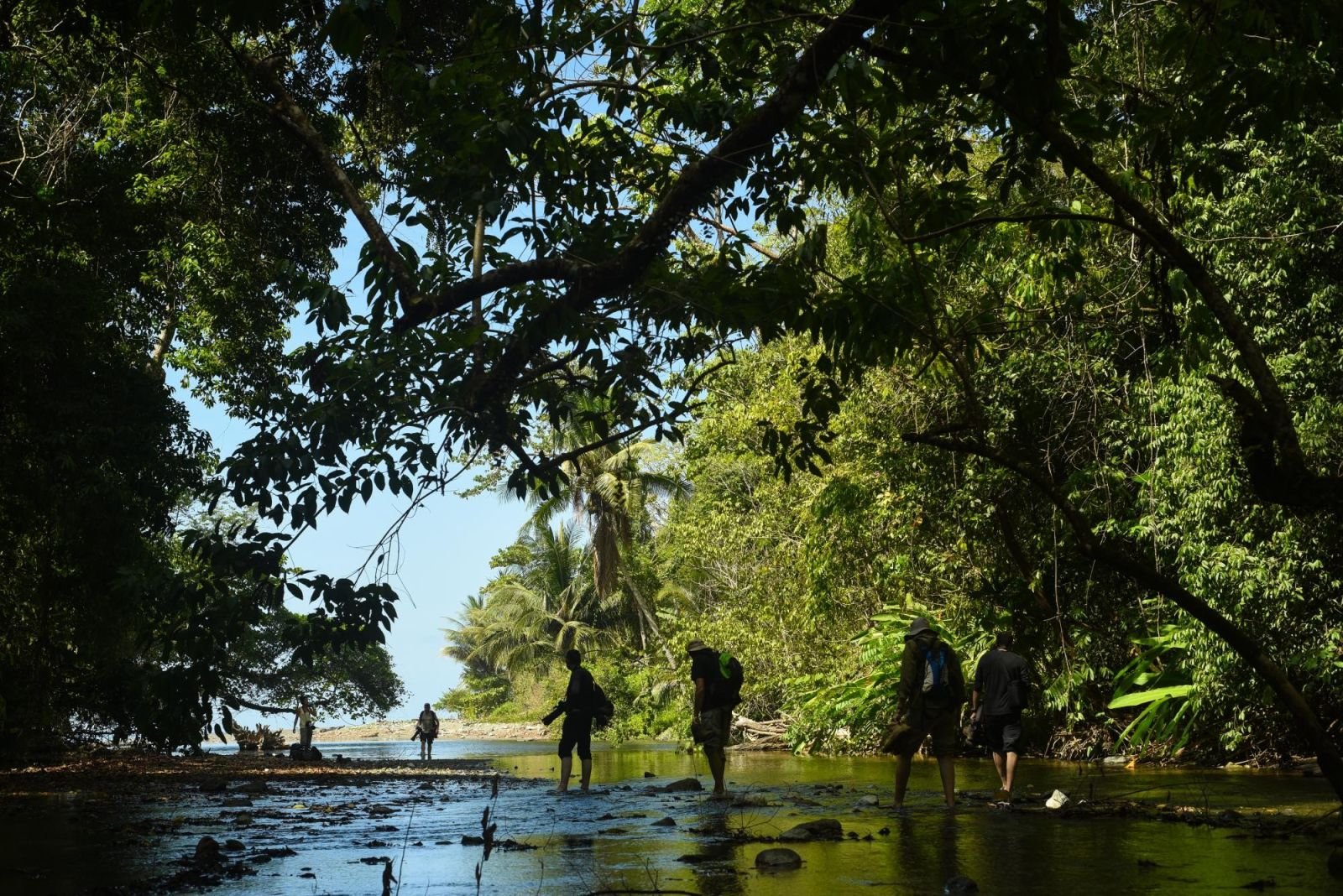 Des Caraïbes au Pacifique, la grande traversée